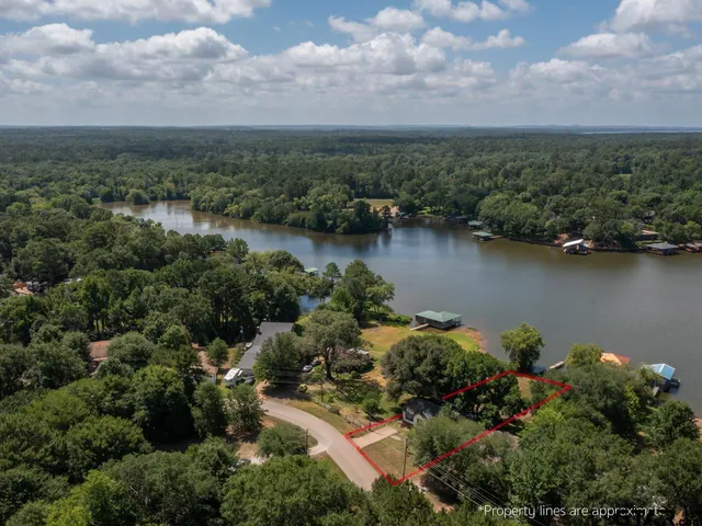 an aerial view of a houses with outdoor space and lake view