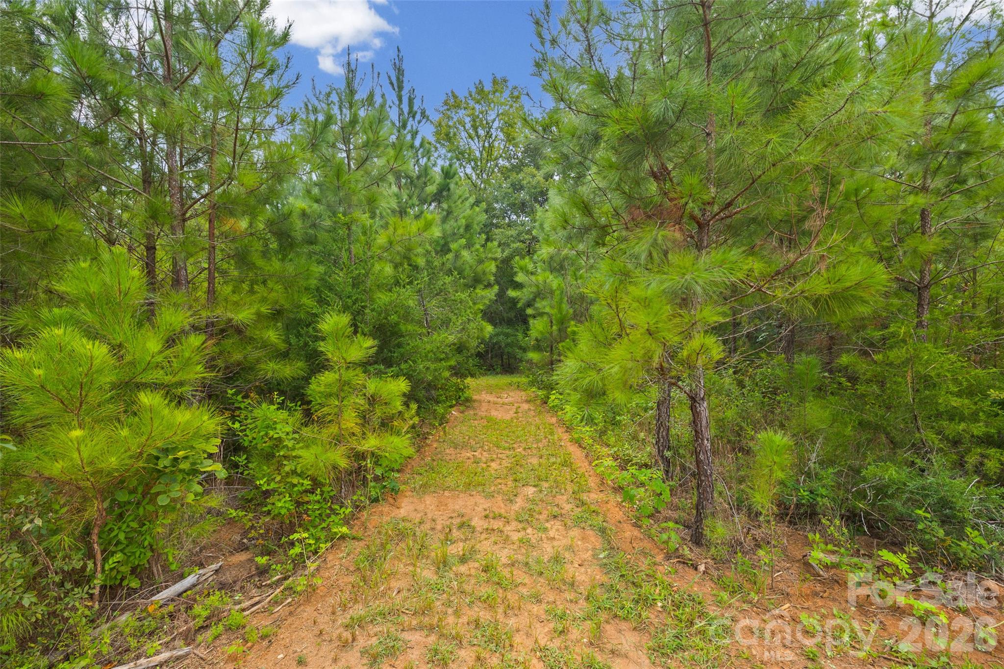 2231 Wooten Road Chester, SC 29706 - Photo 29 of 37 Gallery Image 29