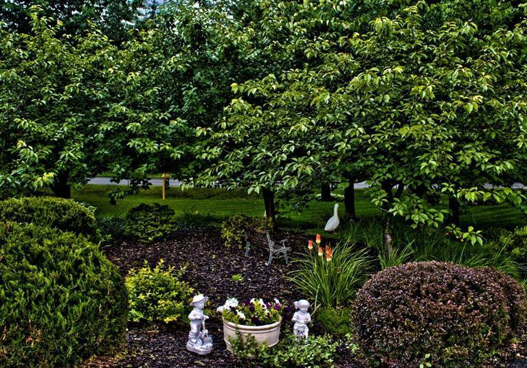 56165 Woodridge Road Three Rivers, MI 49093 - Photo 18 of 24 Additional Photo