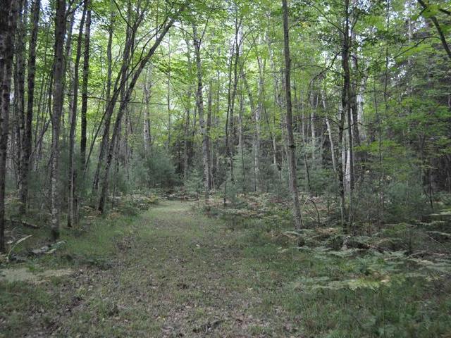 N13269 Flom Road Wausaukee, WI 54177 - Photo 16 of 18 Gallery Image 16