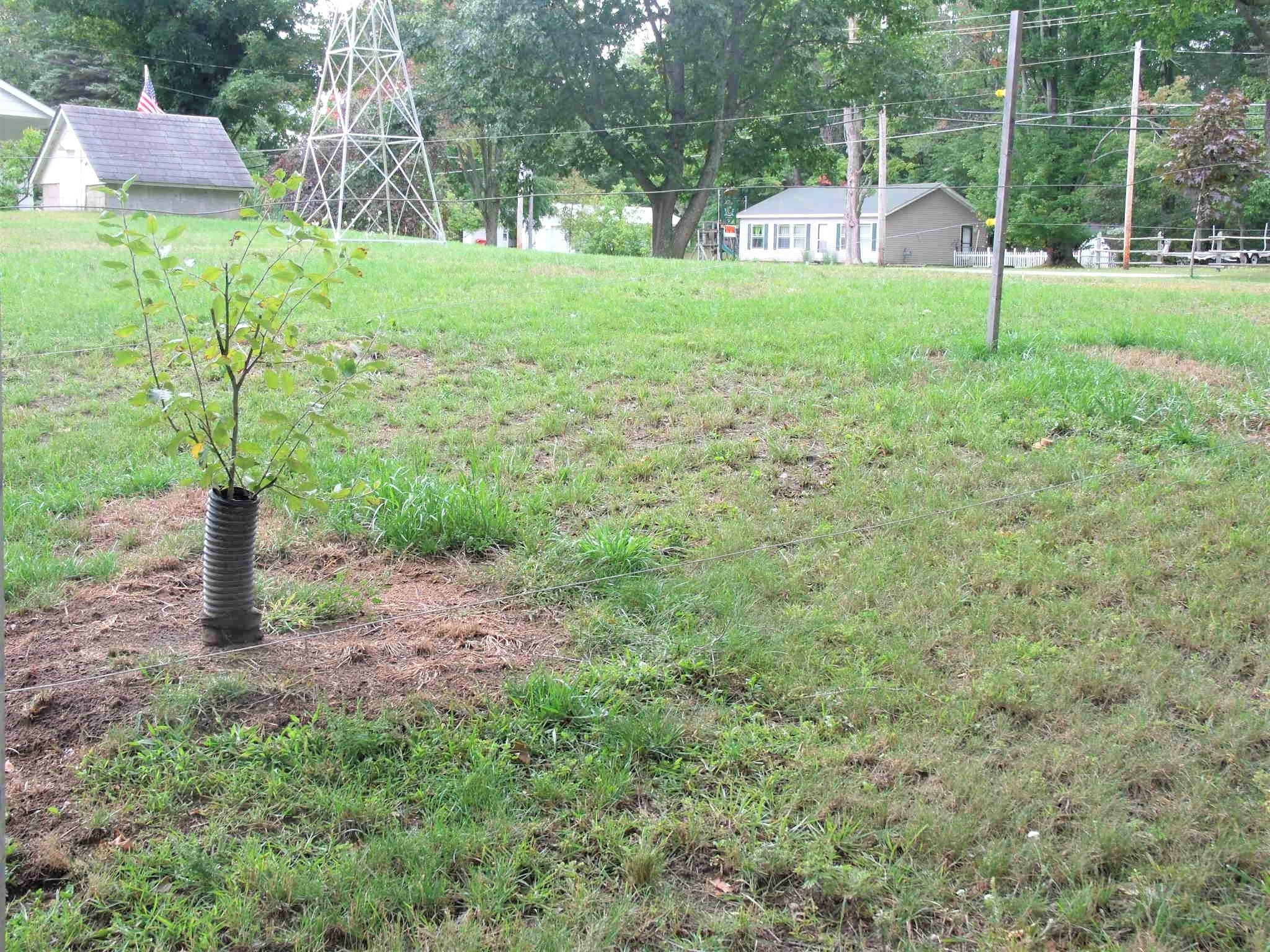 8126 Mullett Lake Road Cheboygan, MI 49721 - Photo 58 of 70 Gallery Image 58