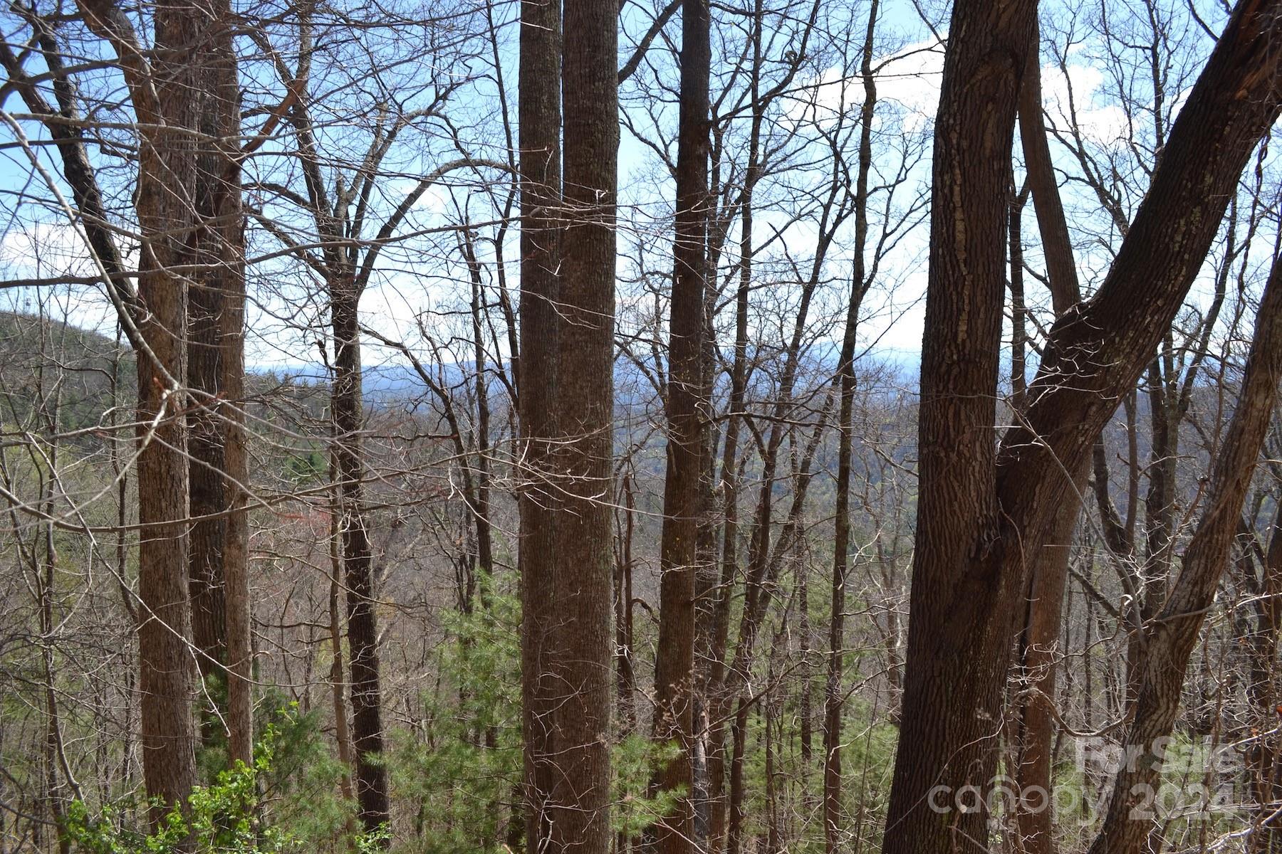 Lot 8 Town Mountain Road Asheville, NC 28804 - Photo 4 of 12 a view of a forest covered by trees