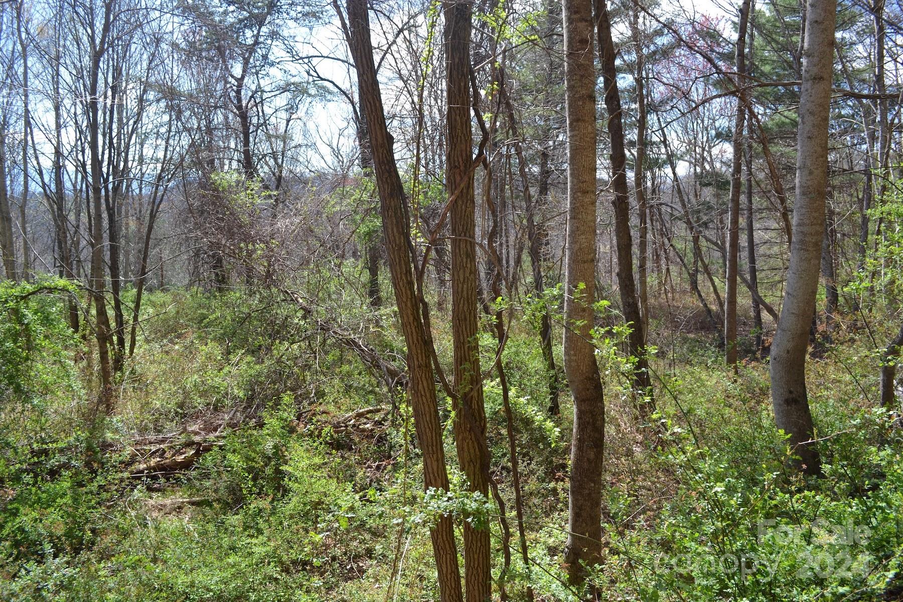 Lot 8 Town Mountain Road Asheville, NC 28804 - Photo 5 of 12 a view of a garden