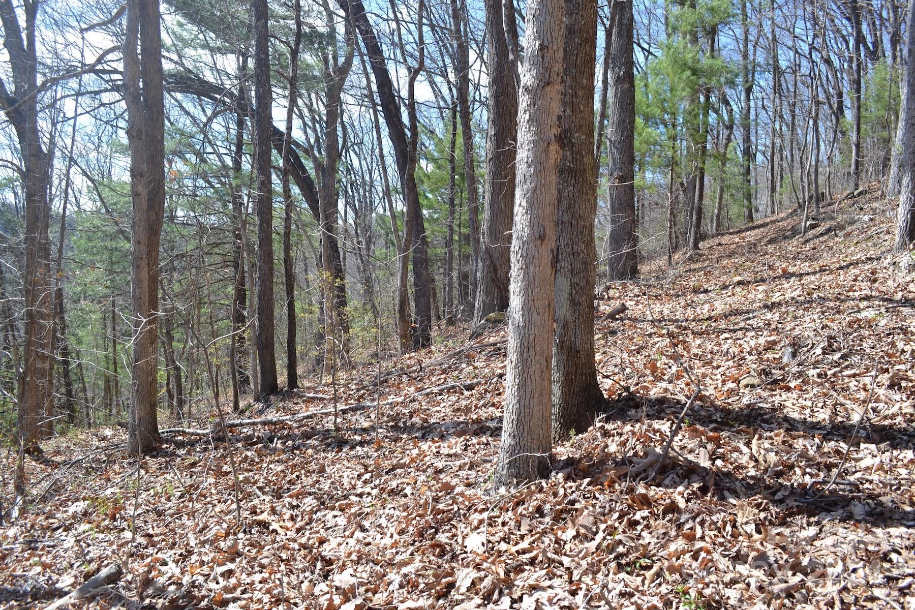 Lot 8 Town Mountain Road Asheville, NC 28804 - Photo 7 of 12 a view of a yard with trees