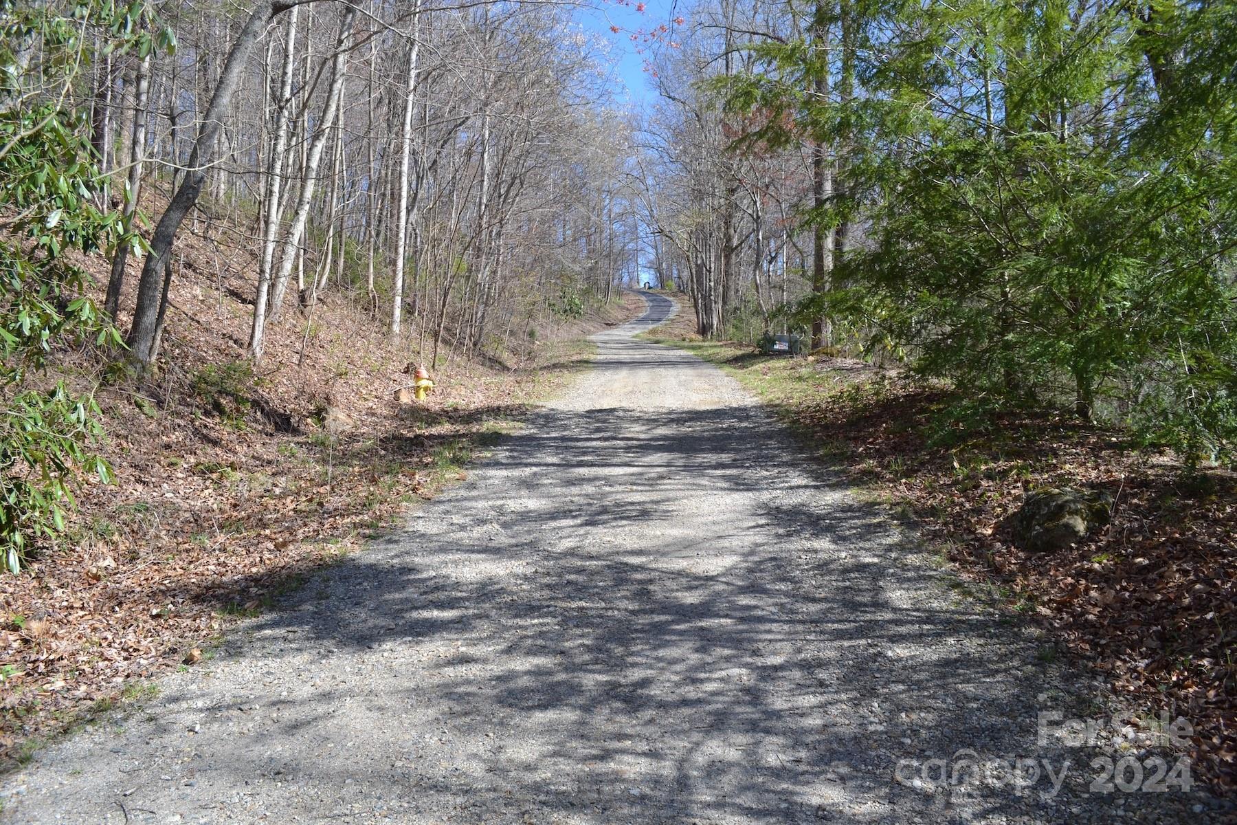 Lot 8 Town Mountain Road Asheville, NC 28804 - Photo 10 of 12 a view of a yard with large trees