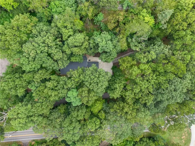 a view of a forest with an outdoor space
