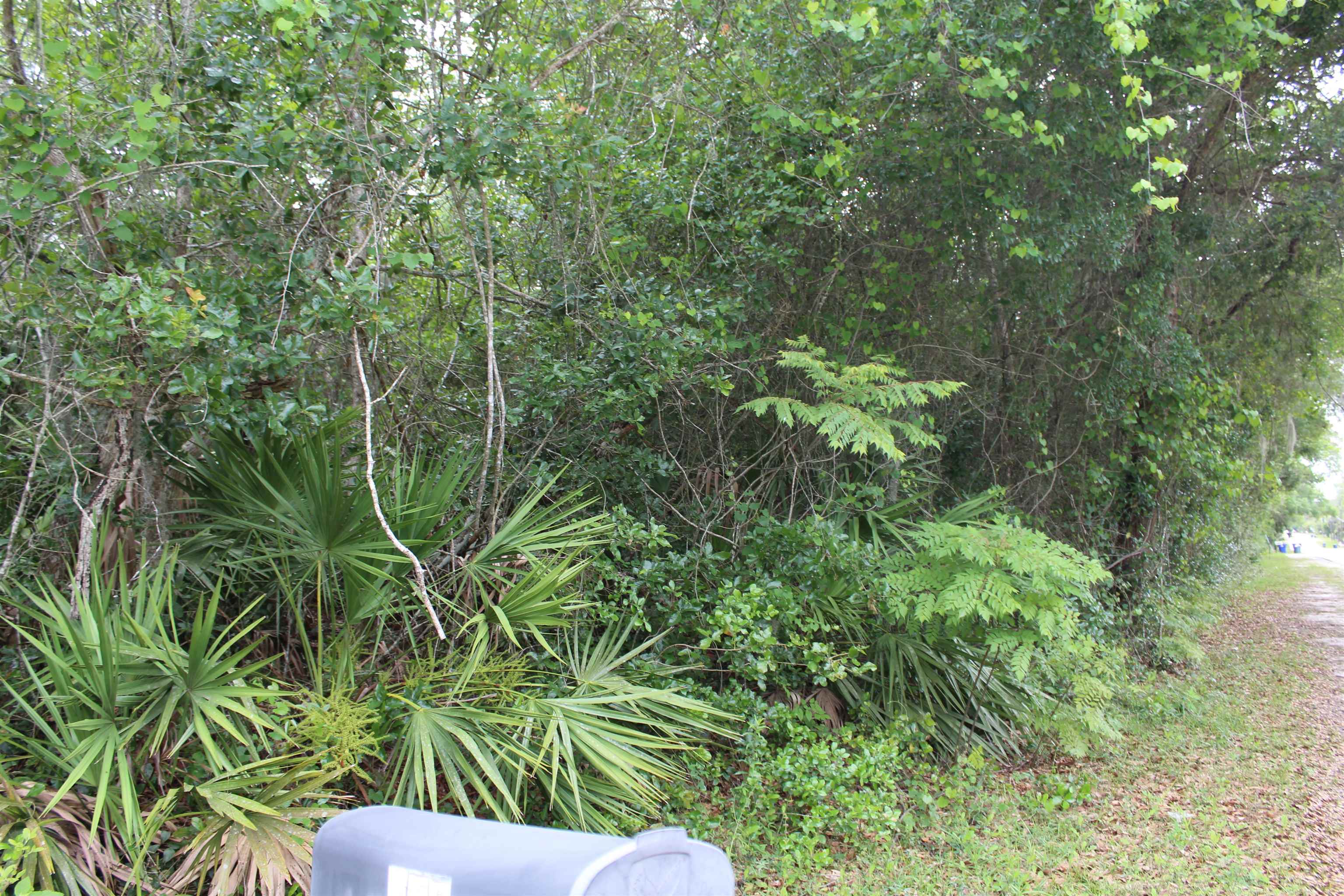 785 Kings Estate Road St. Augustine, FL 32086 - Photo 3 of 5