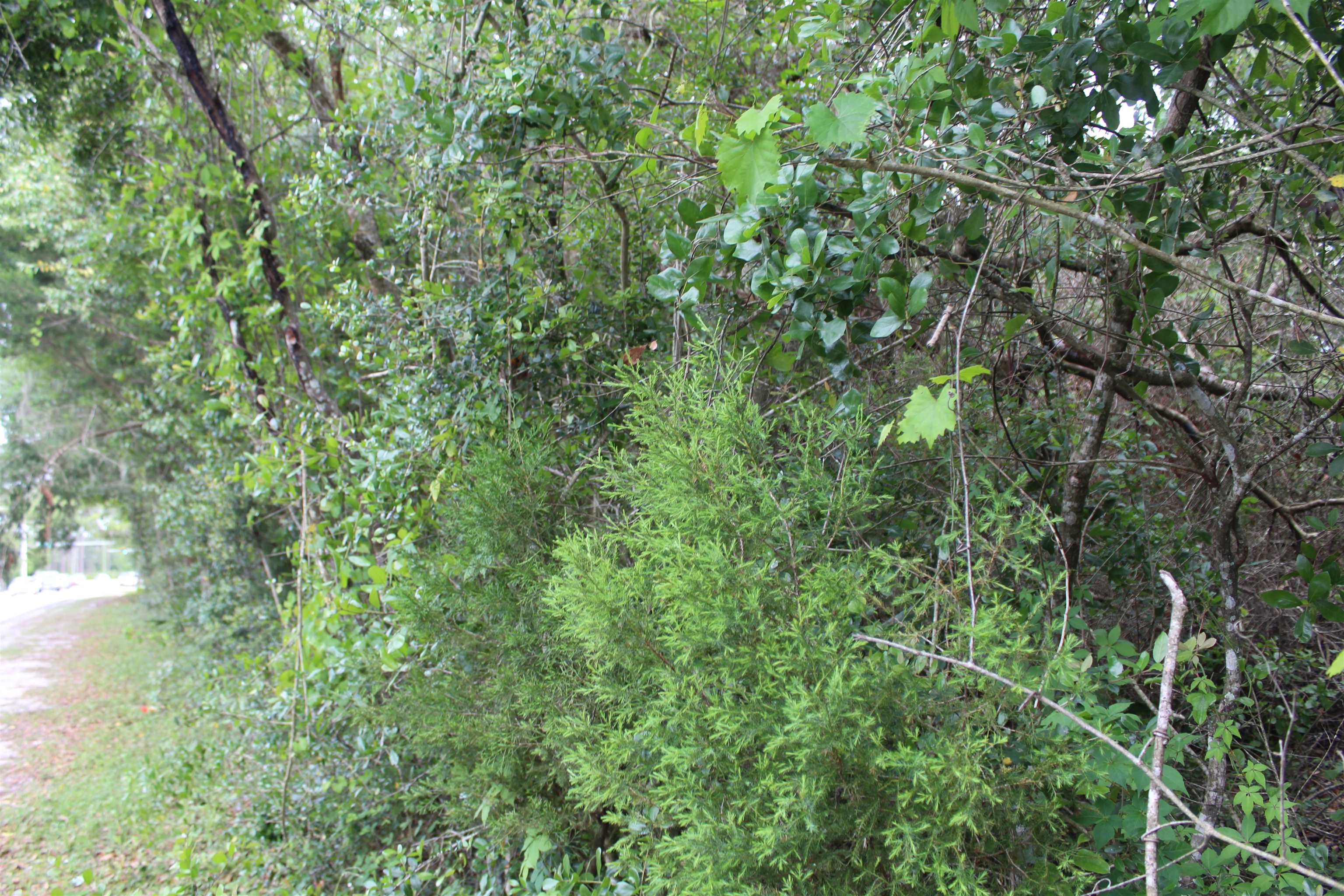 785 Kings Estate Road St. Augustine, FL 32086 - Photo 4 of 5