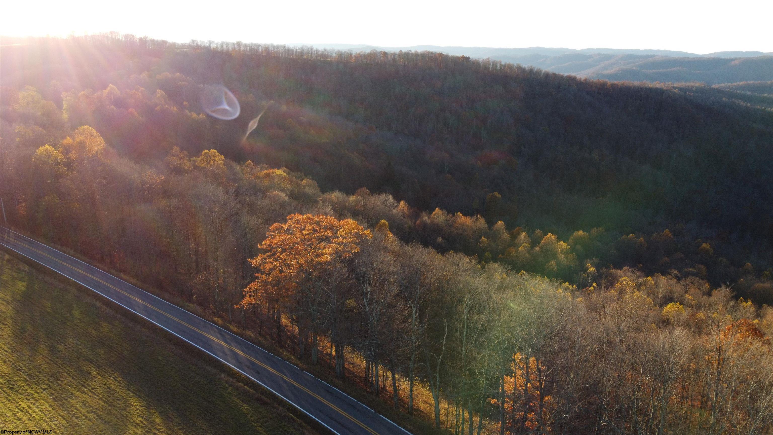 25-acres Stemple Ridge Road Aurora, WV 26705 - Photo 19 of 27 Gallery Image 19