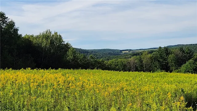 $59,900 | 0 Hardknocks Road, Unadilla, NY 13849