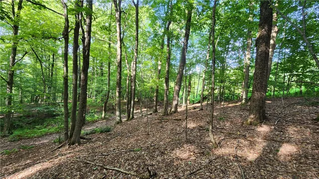 $59,900 | 0 Hardknocks Road, Unadilla, NY 13849