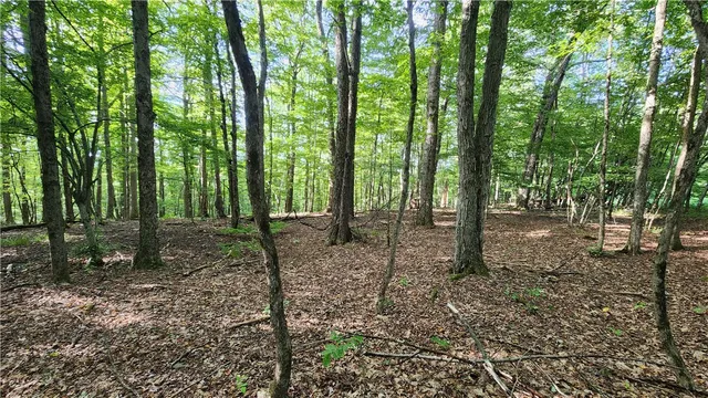 $59,900 | 0 Hardknocks Road, Unadilla, NY 13849