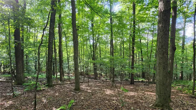 $59,900 | 0 Hardknocks Road, Unadilla, NY 13849