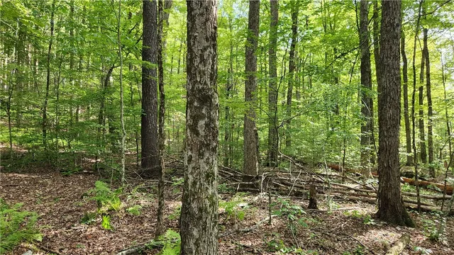 $59,900 | 0 Hardknocks Road, Unadilla, NY 13849