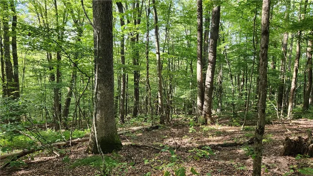 $59,900 | 0 Hardknocks Road, Unadilla, NY 13849