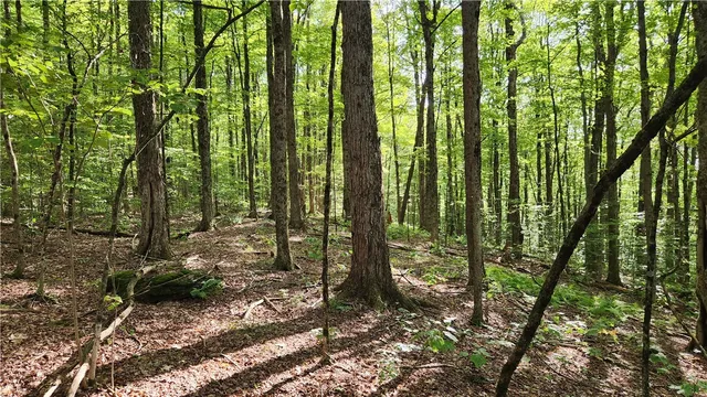 $59,900 | 0 Hardknocks Road, Unadilla, NY 13849