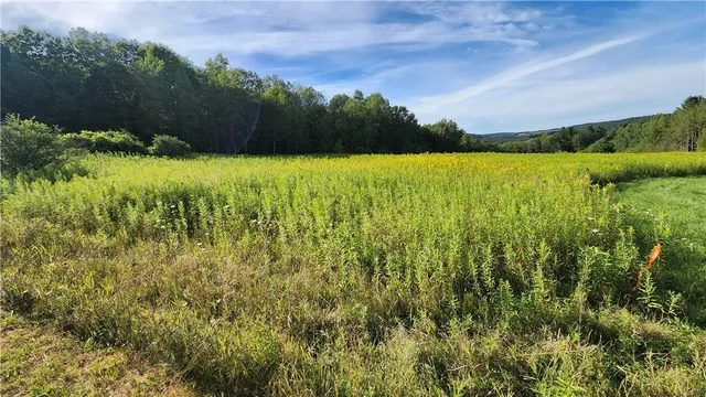 $59,900 | 0 Hardknocks Road, Unadilla, NY 13849