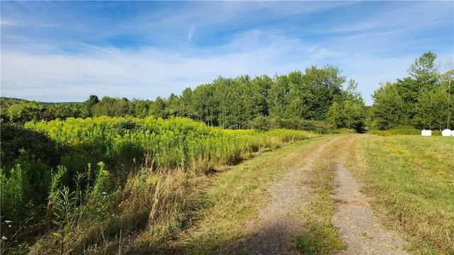 $59,900 | 0 Hardknocks Road, Unadilla, NY 13849