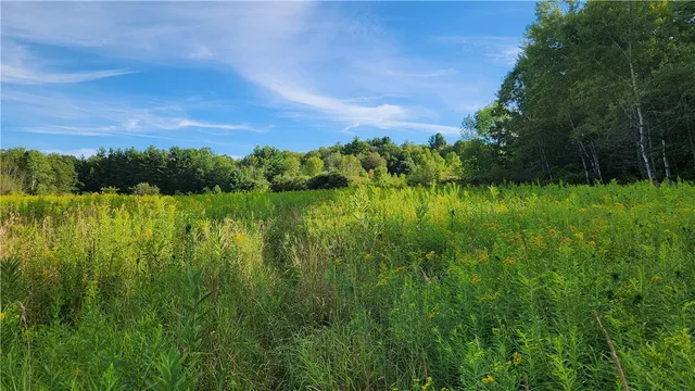 $59,900 | 0 Hardknocks Road, Unadilla, NY 13849