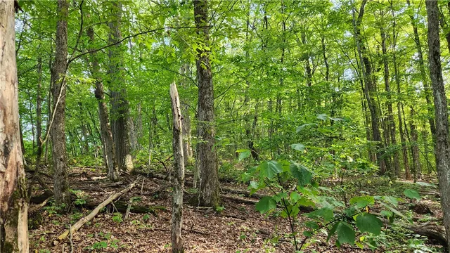 $59,900 | 0 Hardknocks Road, Unadilla, NY 13849