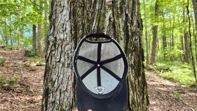 $59,900 | 0 Hardknocks Road, Unadilla, NY 13849