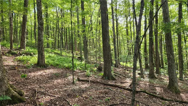 $59,900 | 0 Hardknocks Road, Unadilla, NY 13849