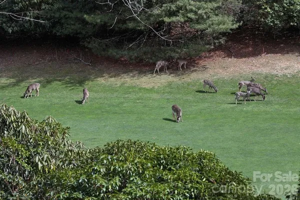 $600,000 | 222 Sedi Lane, Brevard, NC 28712