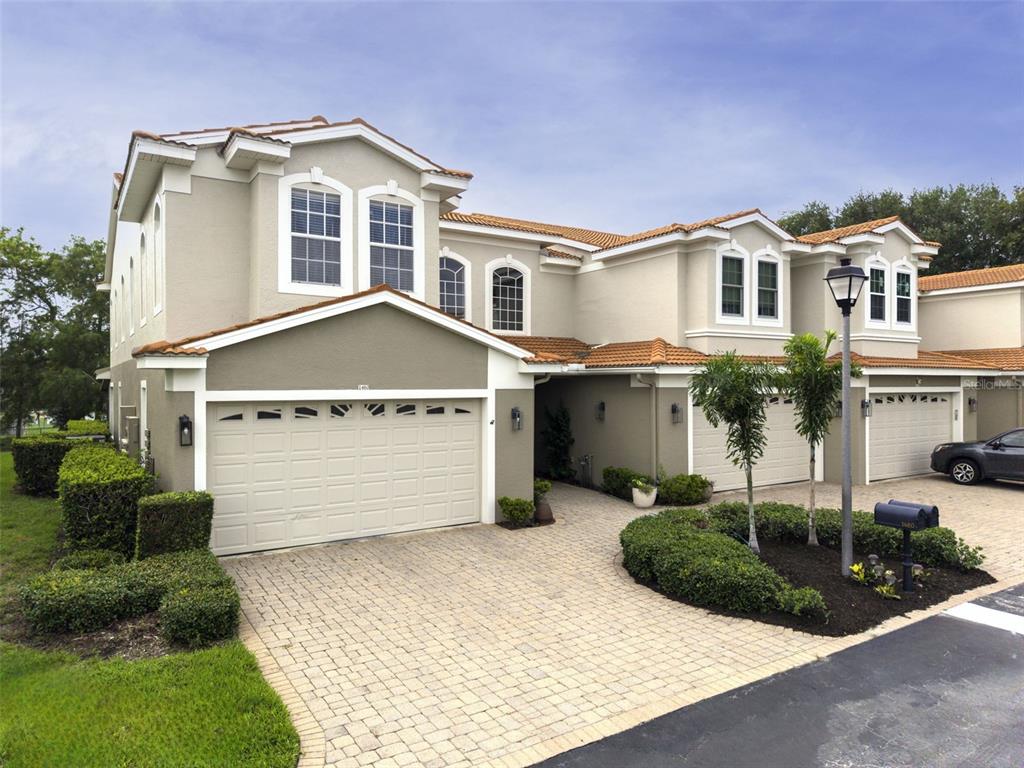 1460 Ribolla Drive Palm Harbor, FL 34683 - Photo 3 of 47