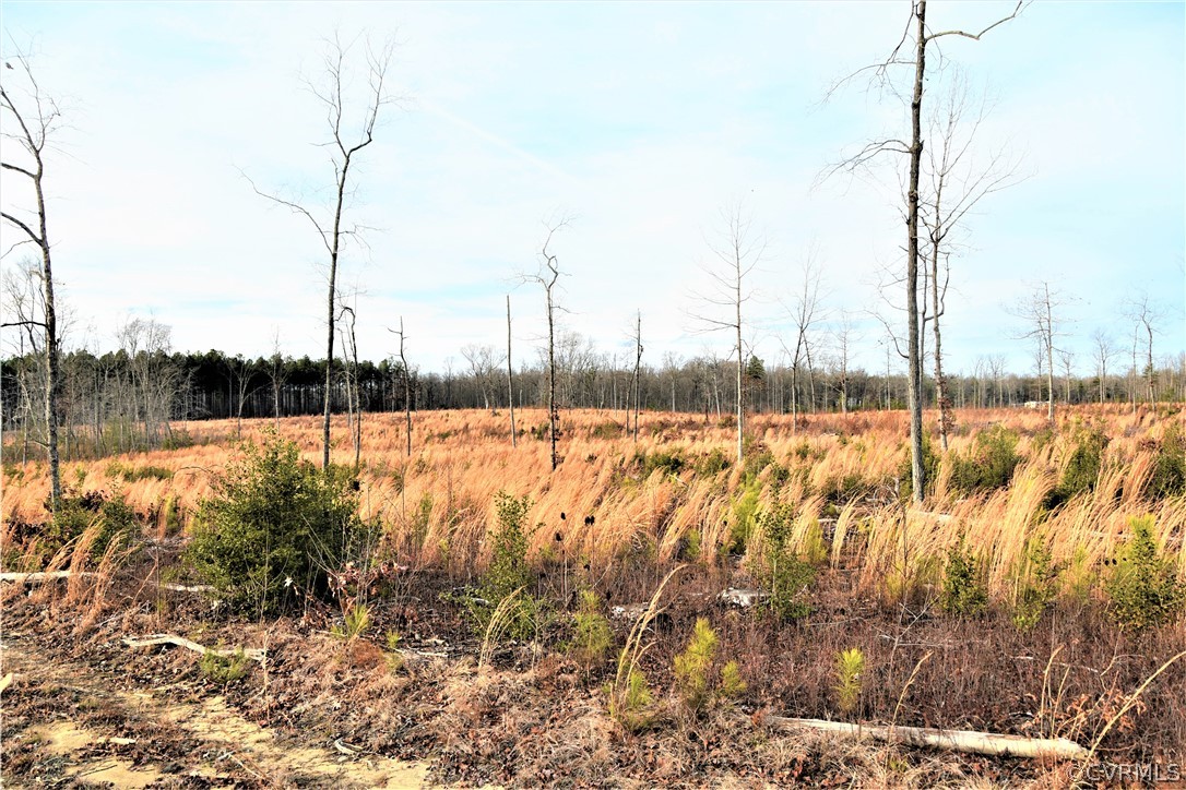 0 Tyler Station Road Beaverdam, VA 23015 - Photo 3 of 6 a view of lake