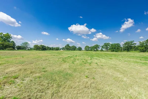 a yard with lots of green space