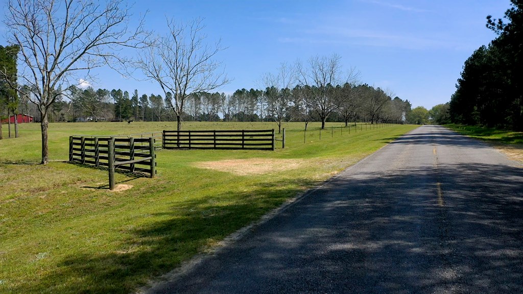 369 Bud Gary Road Clayton, AL 36016 - Photo 39 of 42