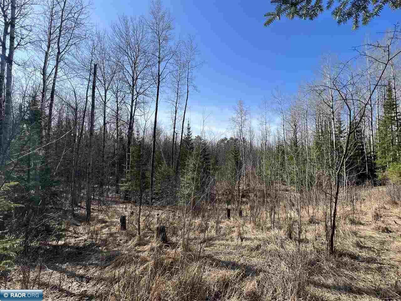 11720 Town Line Road Hibbing, MN 55746 - Photo 11 of 18