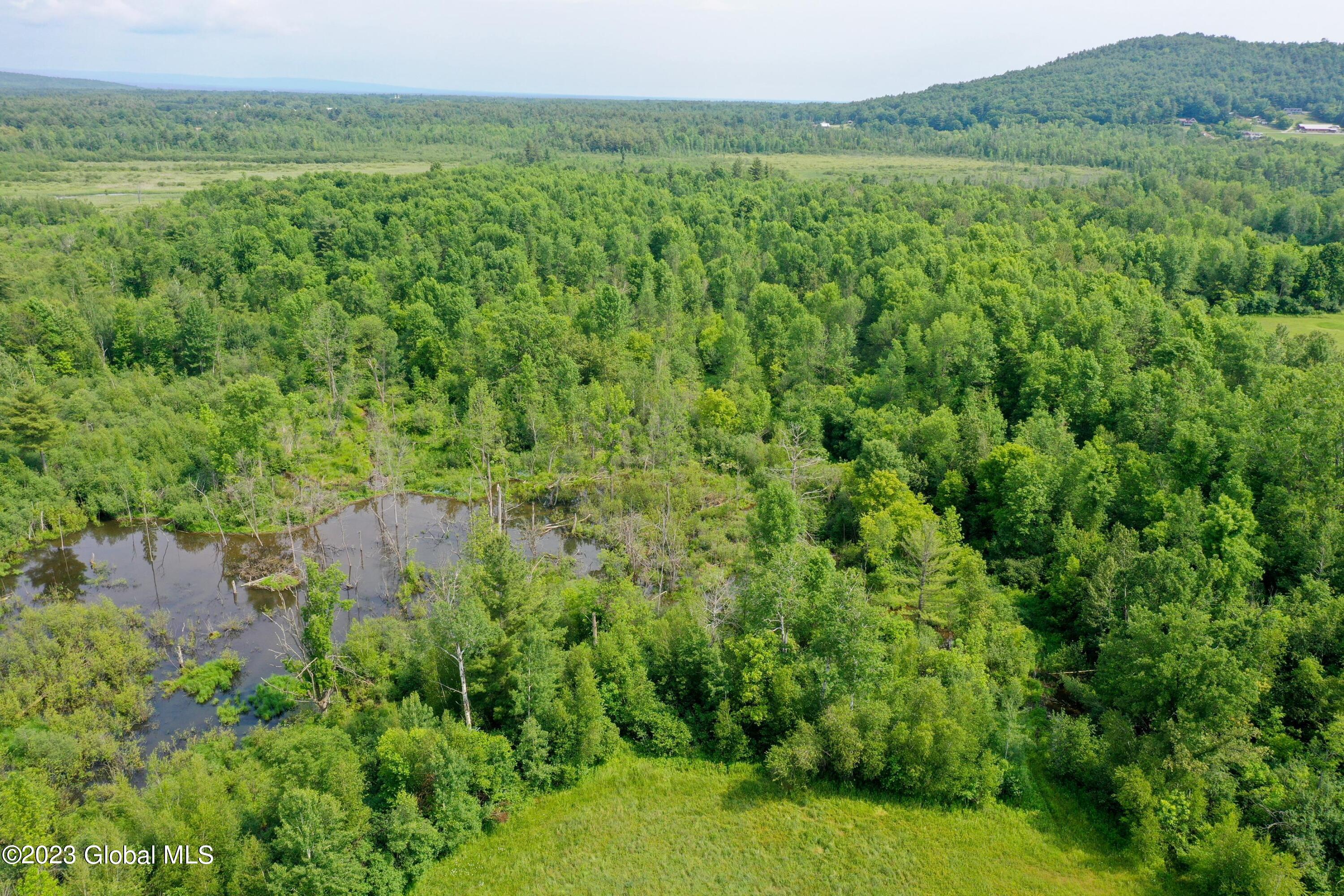 56 Robare Road Chesterfield, NY 12944 - Photo 54 of 60 DJI_0858-2 (Copy)