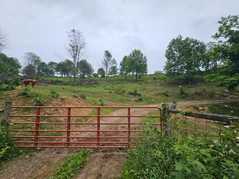 1366 Spring Valley Road Marion, VA 24354 - Photo 18 of 21 Gallery Image 18