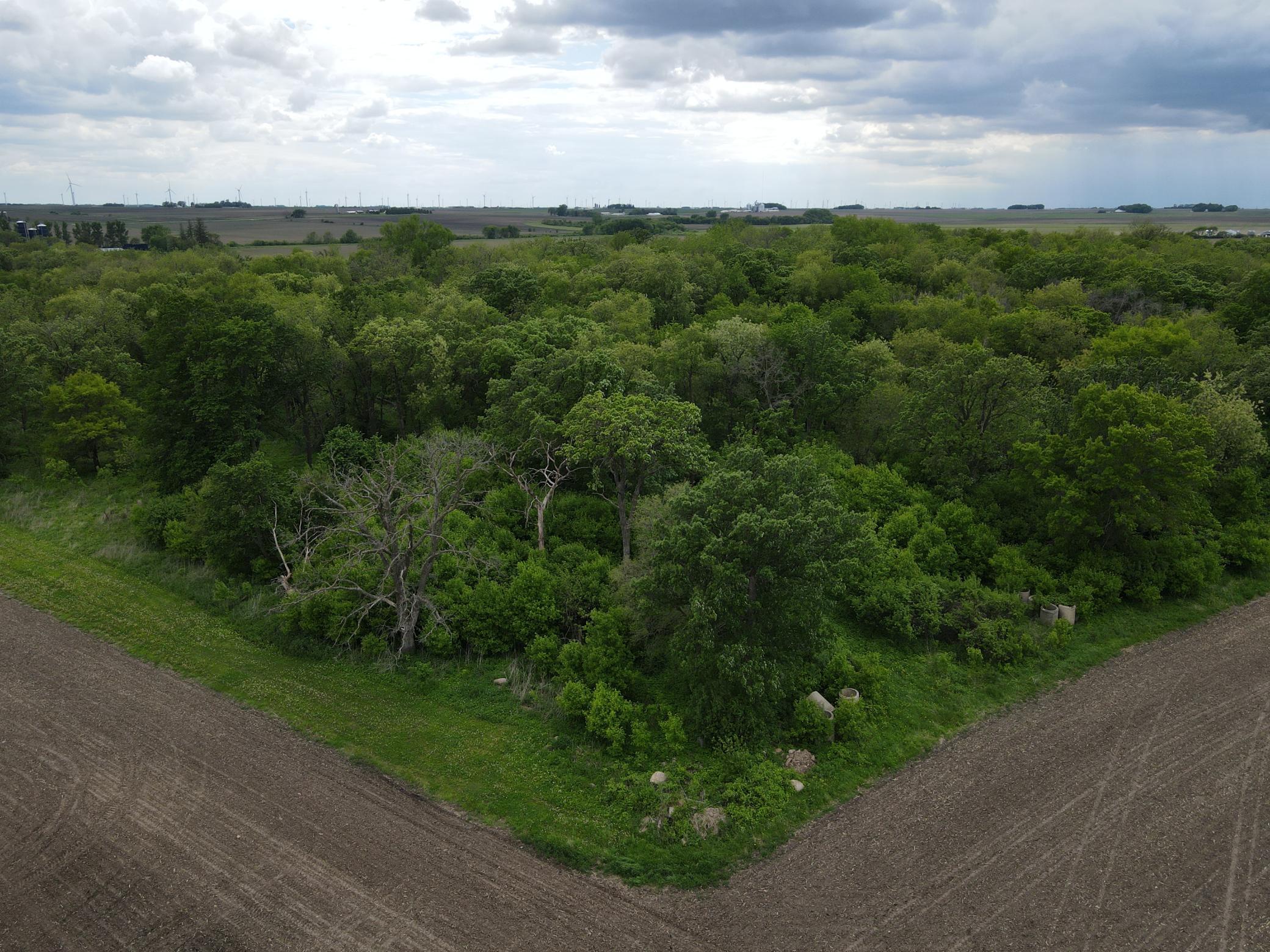 56 Highway 56 Le Roy, MN 55951 - Photo 17 of 26