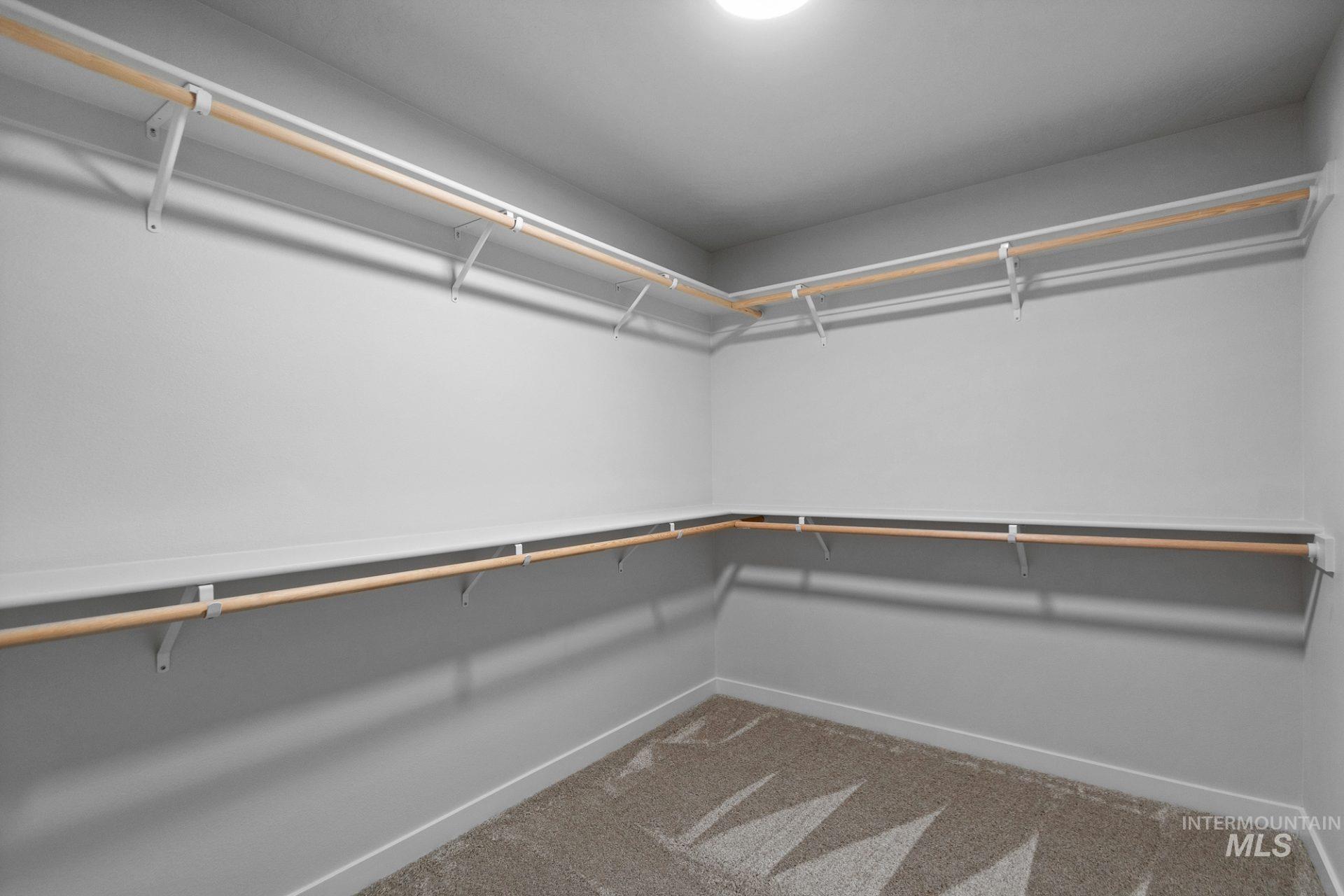 802 Coral Road Kimberly, ID 83341 - Photo 15 of 29 Walk in closet featuring light carpet