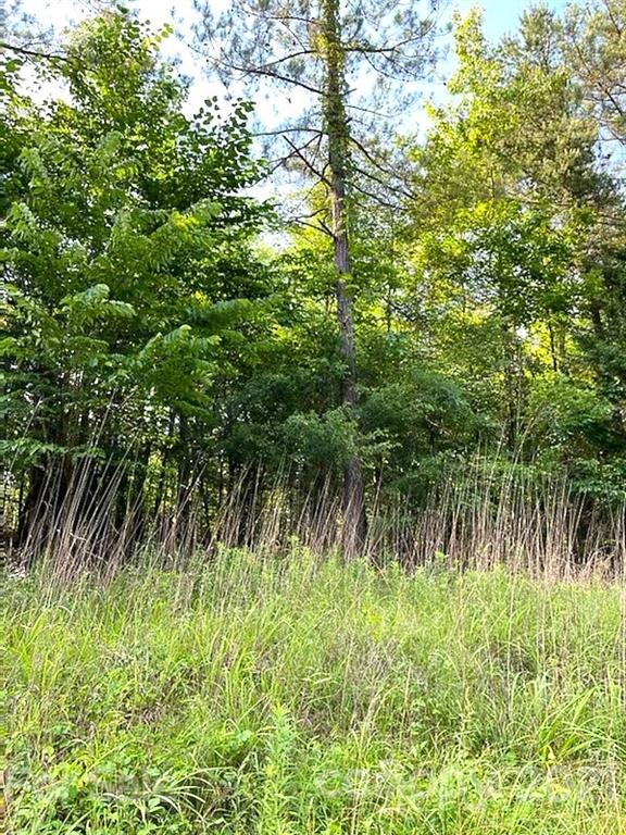 0 C E Stewart Road Clover, SC 29710 - Photo 1 of 1 Gallery Image 1