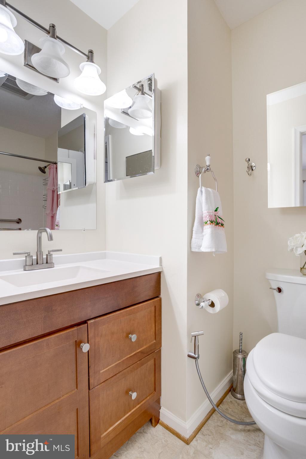 8434 Springfield Oaks Drive Springfield, VA 22153 - Photo 24 of 46