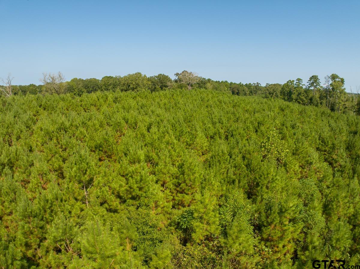 Tbd Tbd Lightfoot Road Lufkin, TX 75901 - Photo 5 of 10 Gallery Image 5