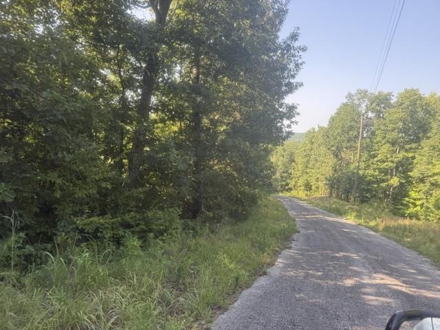 3 Carroll Hollow Road Waynesboro, TN 38485 - Photo 14 of 25 Gallery Image 14