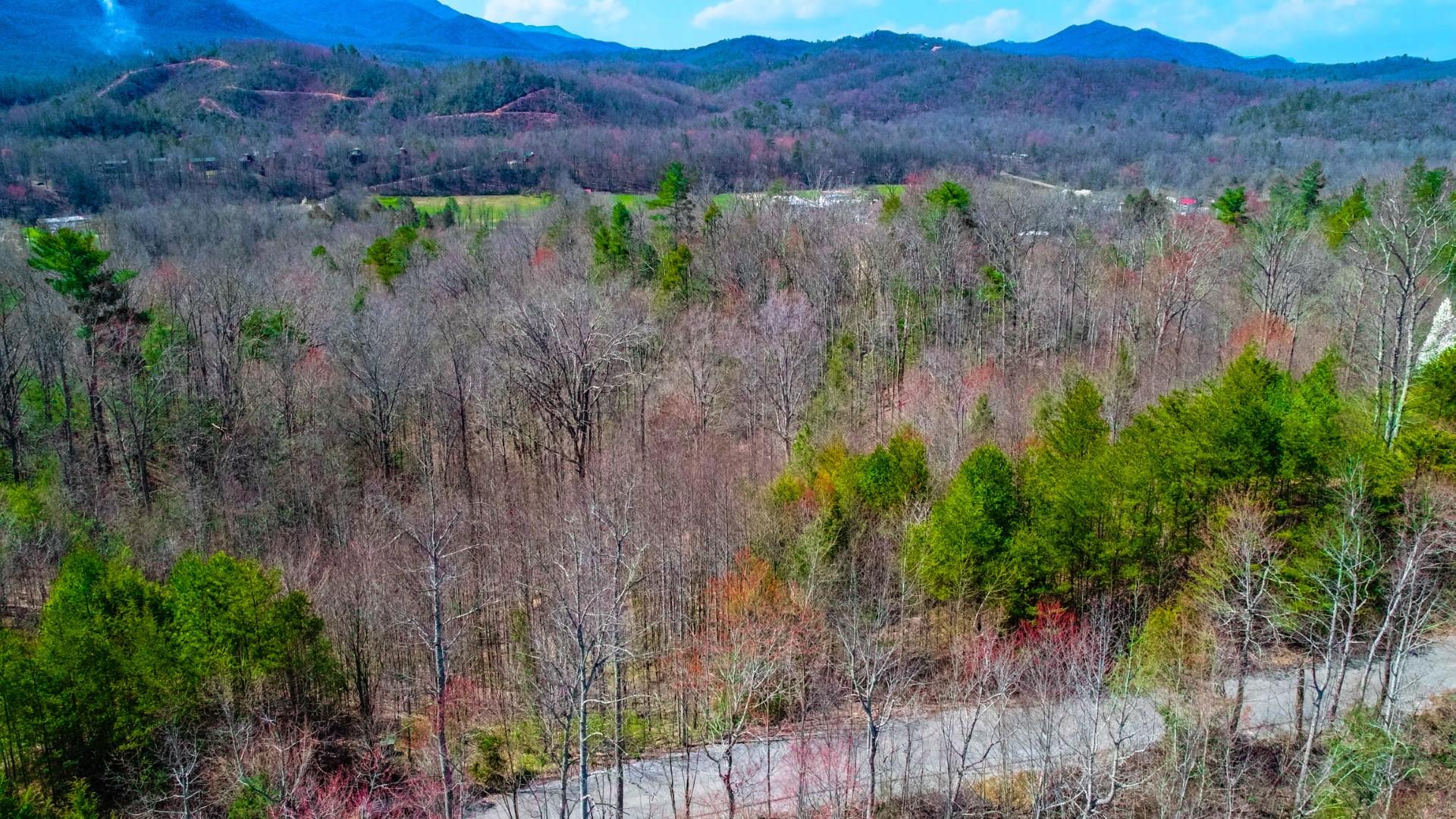 Lot 32 Sonshine Ridge Cosby, TN 37722 - Photo 1 of 24 1