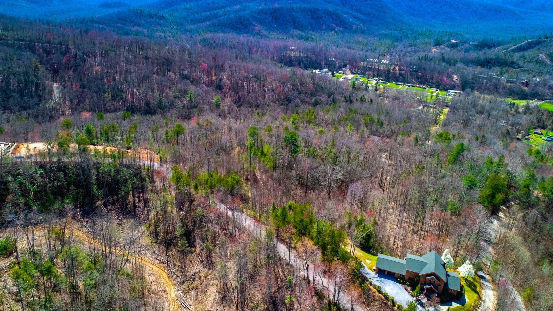 Lot 32 Sonshine Ridge Cosby, TN 37722 - Photo 15 of 24 14