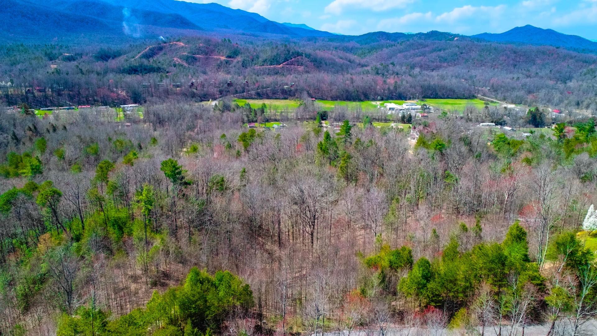 Lot 32 Sonshine Ridge Cosby, TN 37722 - Photo 3 of 24 2