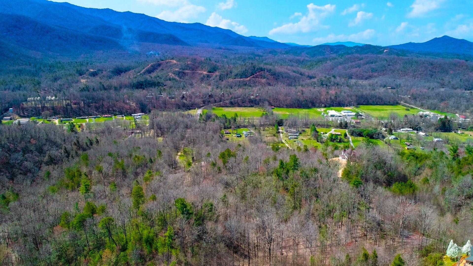 Lot 32 Sonshine Ridge Cosby, TN 37722 - Photo 4 of 24 3