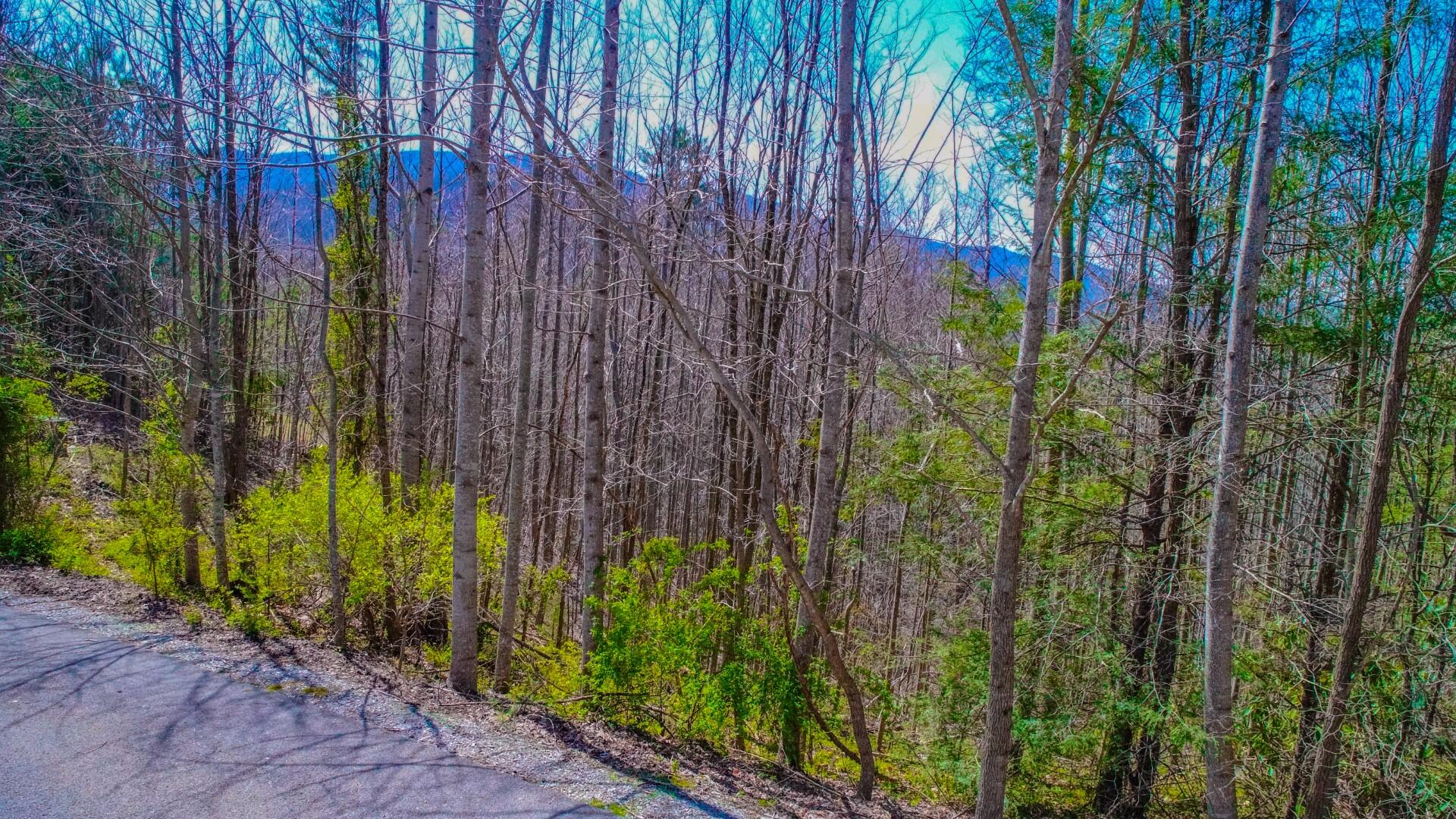 Lot 32 Sonshine Ridge Cosby, TN 37722 - Photo 5 of 24 4