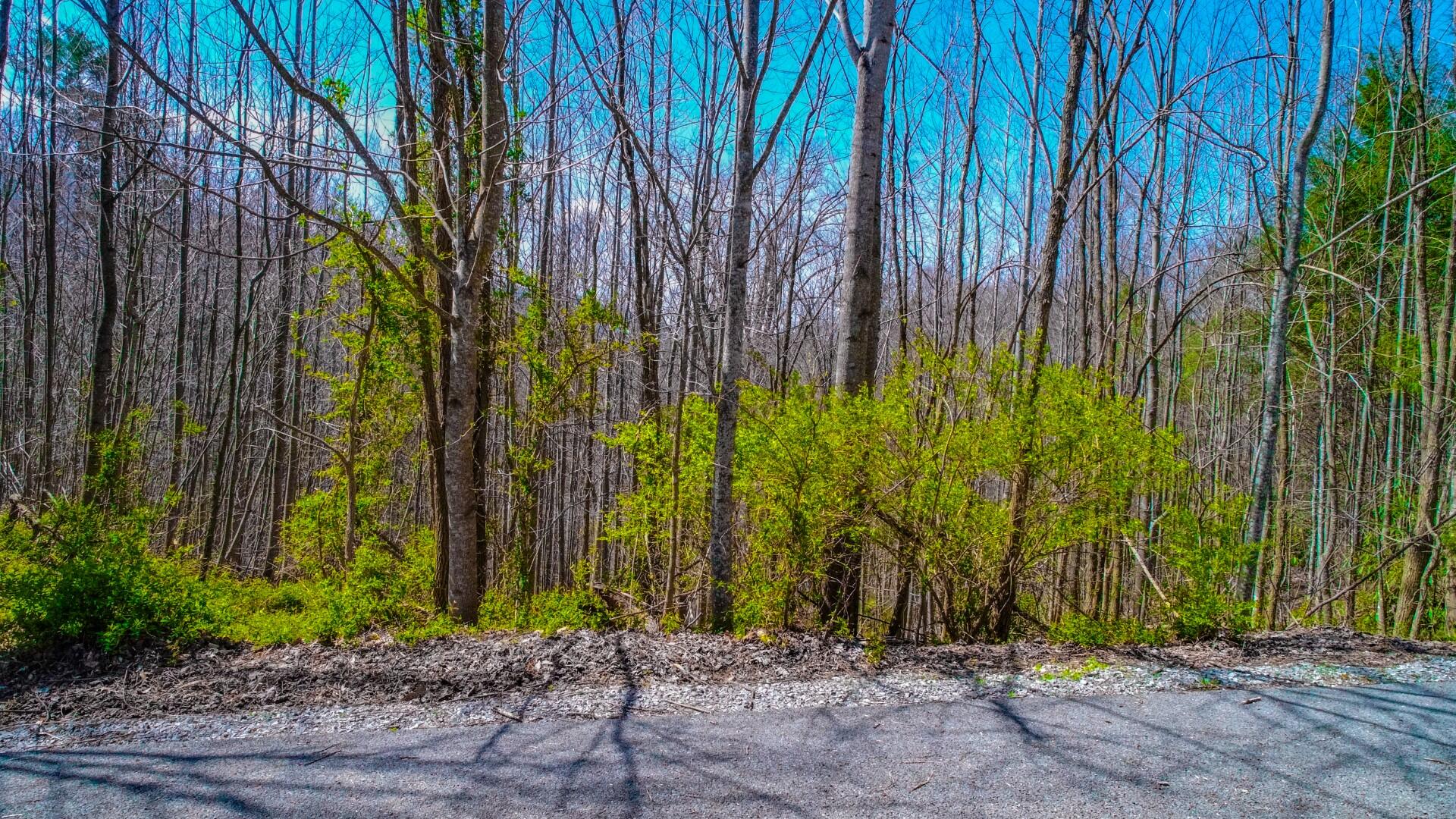 Lot 32 Sonshine Ridge Cosby, TN 37722 - Photo 6 of 24 6