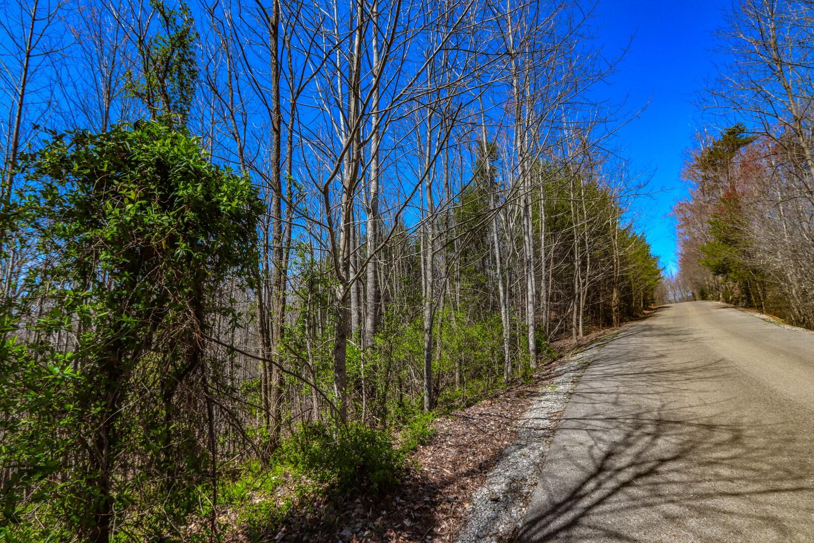 Lot 32 Sonshine Ridge Cosby, TN 37722 - Photo 7 of 24 7.4