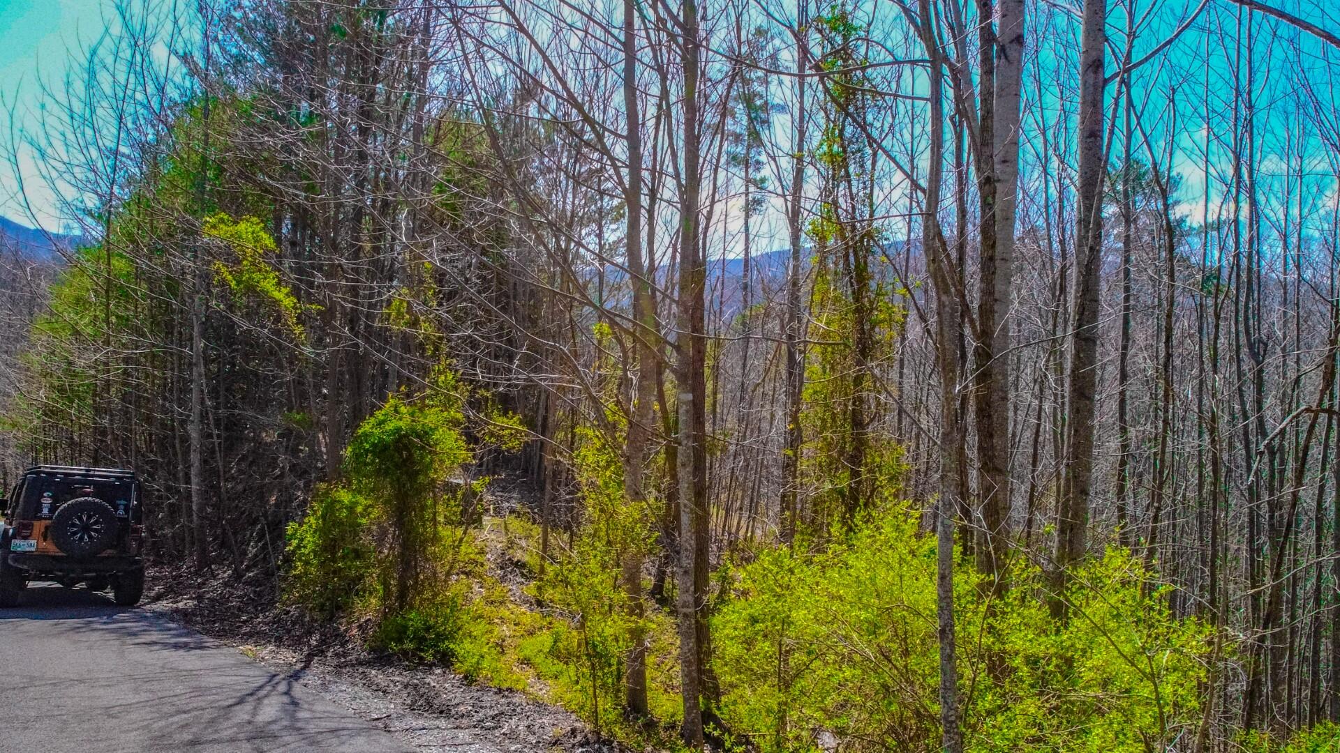 Lot 32 Sonshine Ridge Cosby, TN 37722 - Photo 8 of 24 7.5