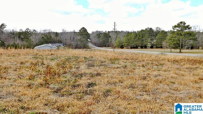 0 Highway 231, Unit 1 5 Oneonta, AL 35121 - Photo 15 of 23
