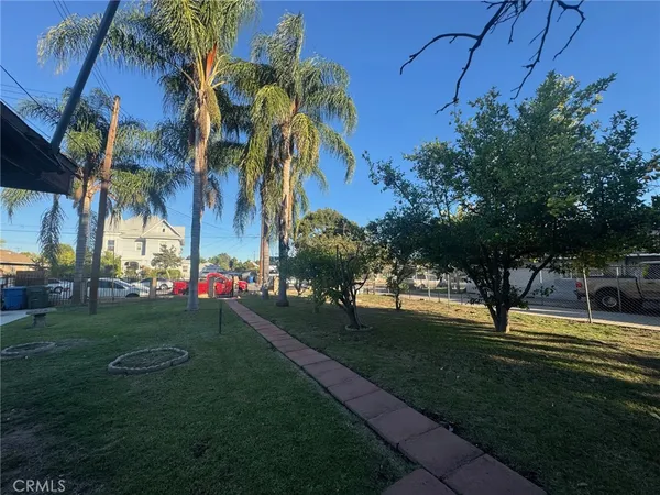 a park with full of palm trees